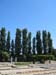 Latin_0007